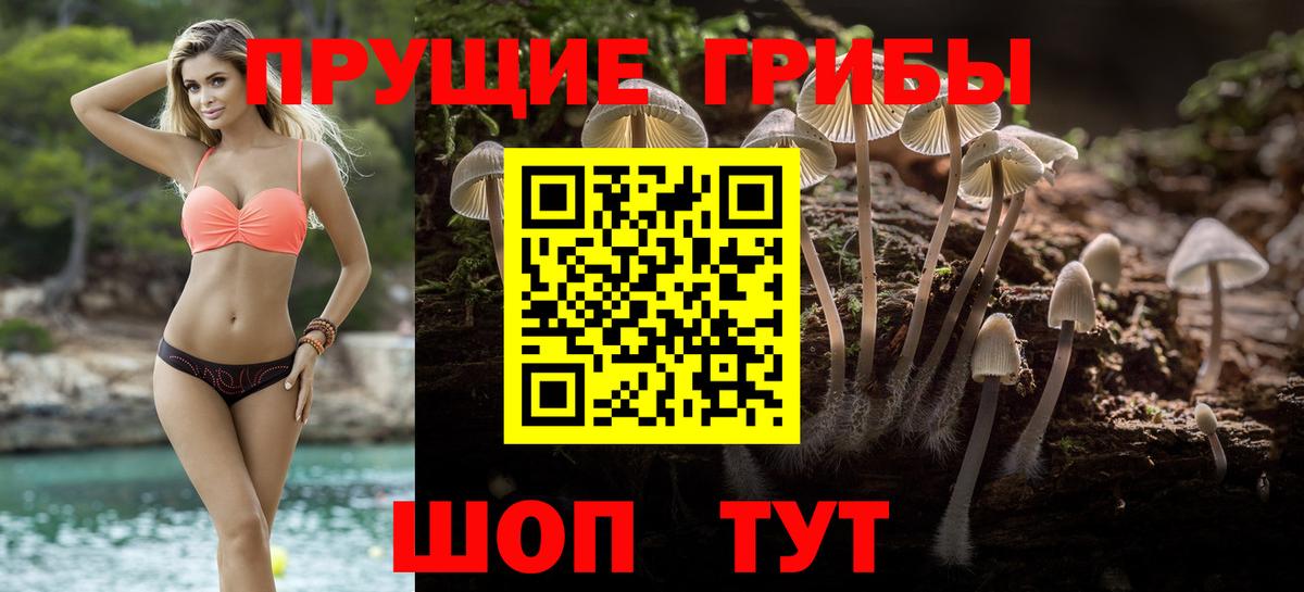 Галлюциногенные грибы Psilocybine cubensis Алушта