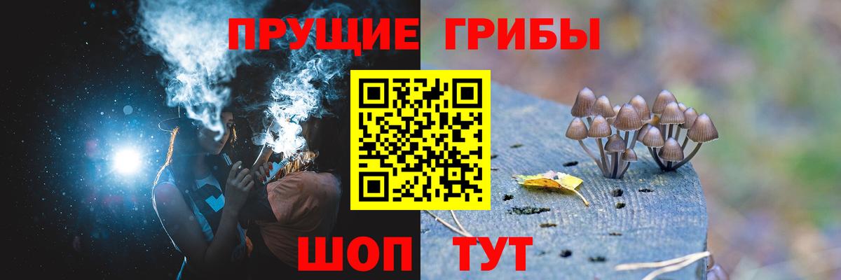 Галлюциногенные грибы Psilocybine cubensis  Вход с VPN  Галлюциногенные грибы Psilocybine cubensis  Алушта 